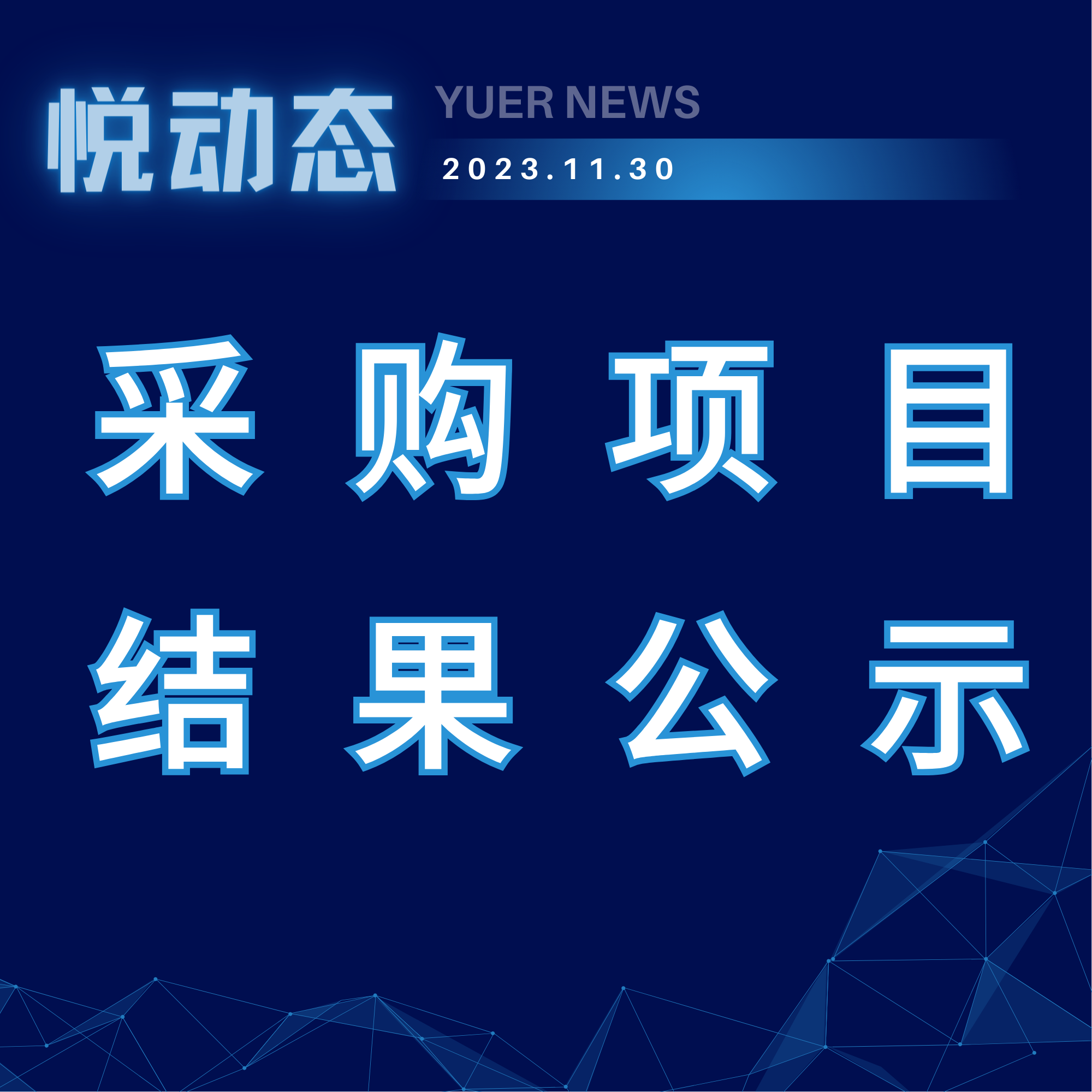 公示公告