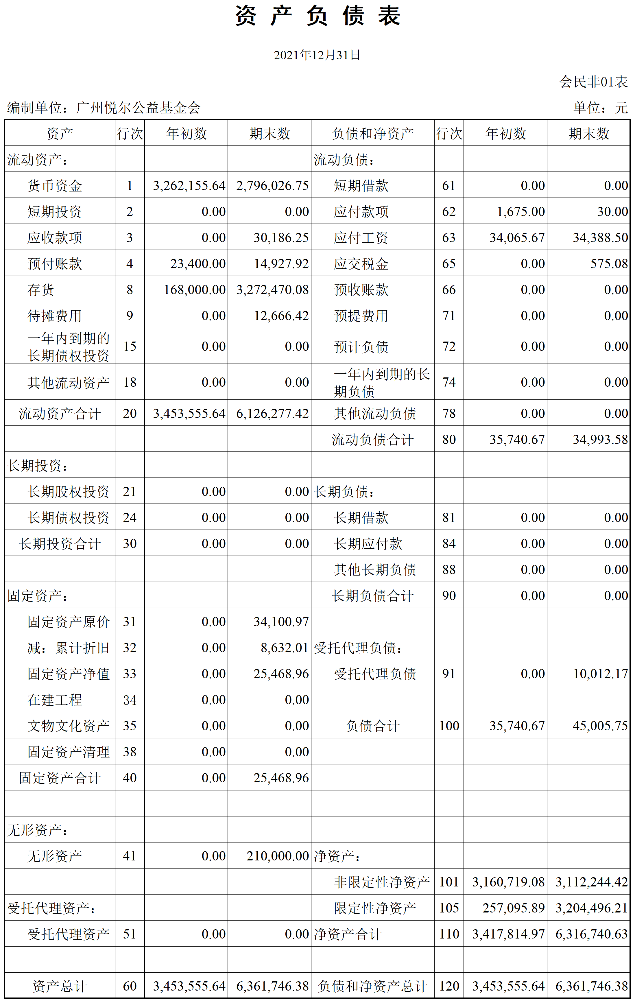 审计报告附表0316_资负(民非).png